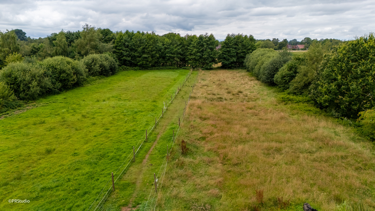 14 - Eigene Weide hinter dem Garten
